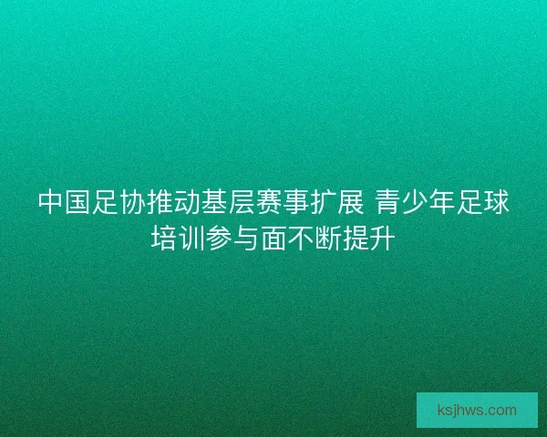 中国足协推动基层赛事扩展 青少年足球培训参与面不断提升